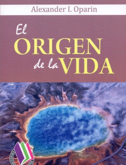 https://bosys.company/clientes/anadorys.salazar@gmail.com-1/img/perfiles/A9EkQFwycz_2024_10_12_09_43_22.png