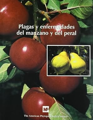 https://bosys.company/clientes/anadorys.salazar@gmail.com-1/img/perfiles/Cgs8LzedAq_2025_06_10_17_49_37.png