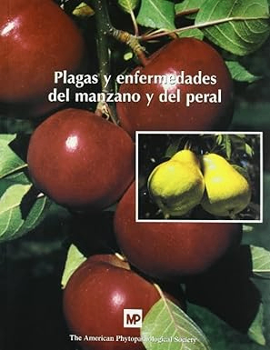https://bosys.company/clientes/anadorys.salazar@gmail.com-1/img/perfiles/EbQOD9Ll4k_2025_06_11_09_26_58.png