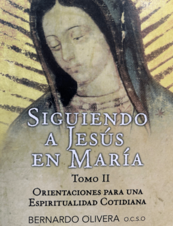 https://bosys.company/clientes/anadorys.salazar@gmail.com-1/img/perfiles/aiWvBrzxSo_2025_05_26_17_53_50.png