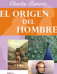 https://bosys.company/clientes/anadorys.salazar@gmail.com-1/img/perfiles/z2J6ck5GQm_2024_08_21_10_32_03.png