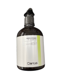 https://bosys.company/clientes/rariascantel@gmail.com-67/img/perfiles/KhZTfk0apQ_2024_06_13_15_23_23.png
